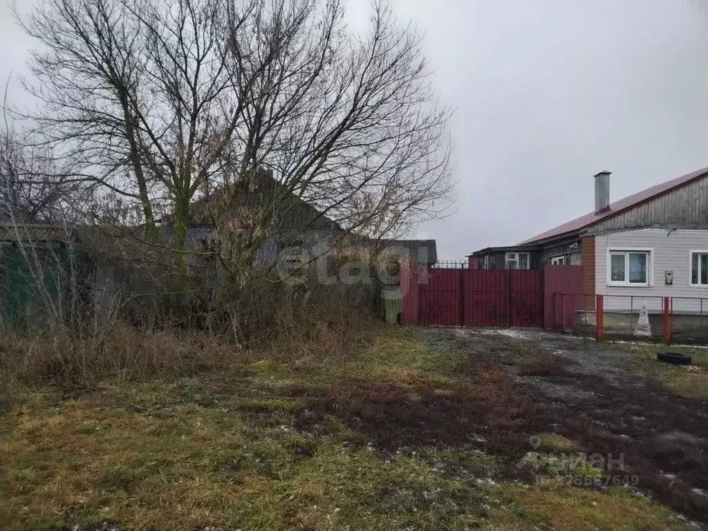 Дом в Курская область, Курский район, Полевской сельсовет, с. Колодное ... - Фото 1