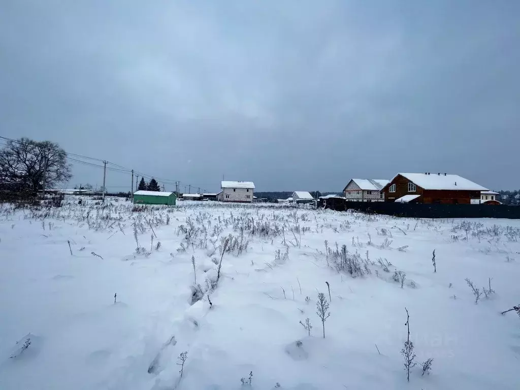 Участок в Московская область, Пушкинский городской округ, с. Ельдигино ... - Фото 0