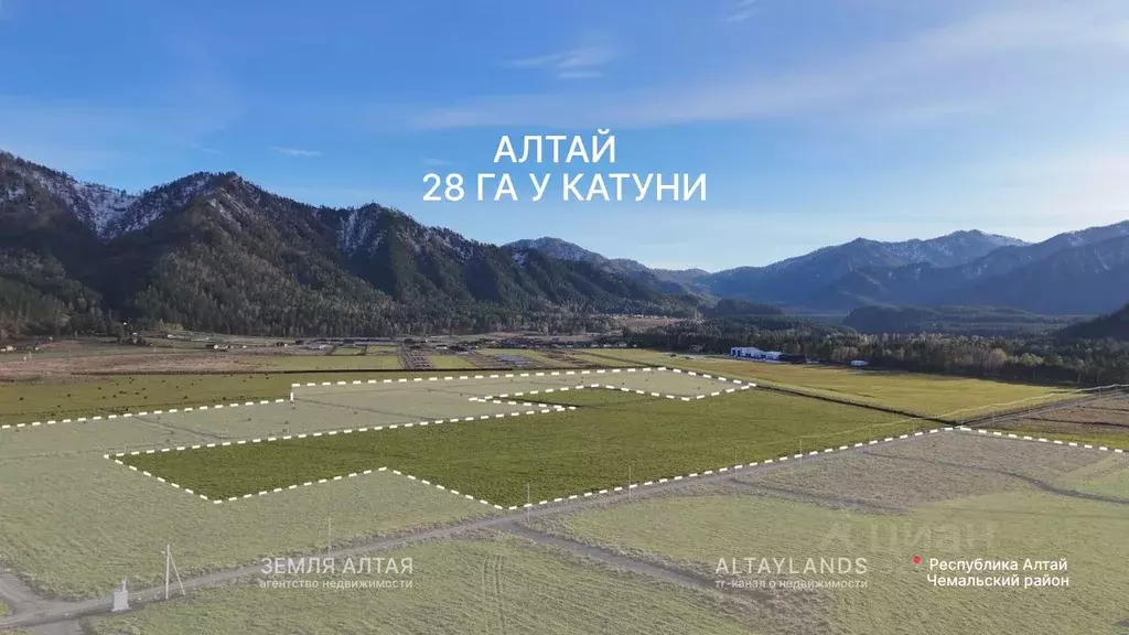 Участок в Алтай, Чемальский район, Чепошское с/пос  (28.0 га.) - Фото 2