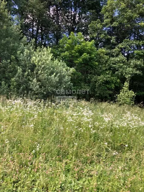 Участок в Московская область, Серпухов городской округ, д. ... - Фото 0