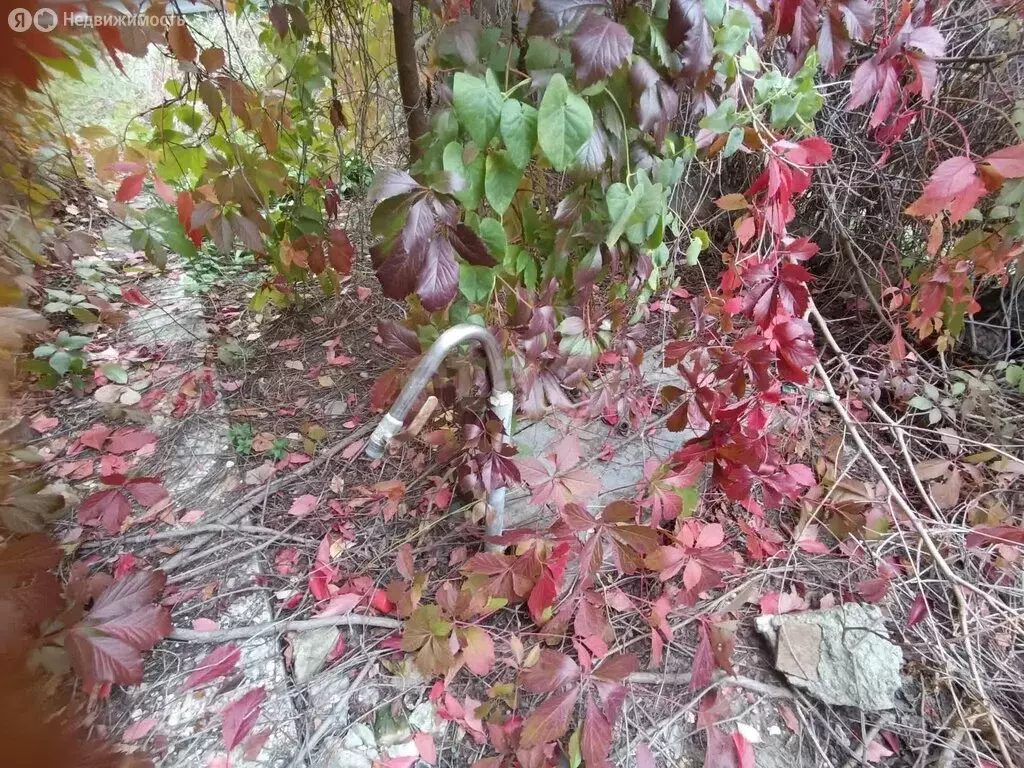 Дом в Ленинский район, городское поселение Щёлкино, СНТ Энергетик ... - Фото 2