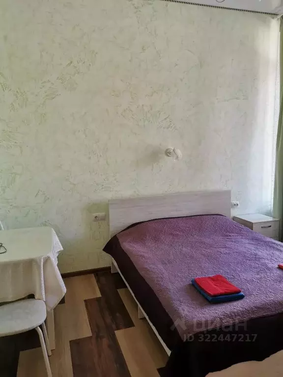 1-к кв. Алтай, Горно-Алтайск Проточная ул., 10/1к4 (25.0 м) - Фото 1