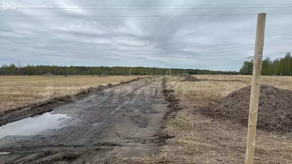 Участок в Свердловская область, Тугулымский муниципальный округ, ... - Фото 1
