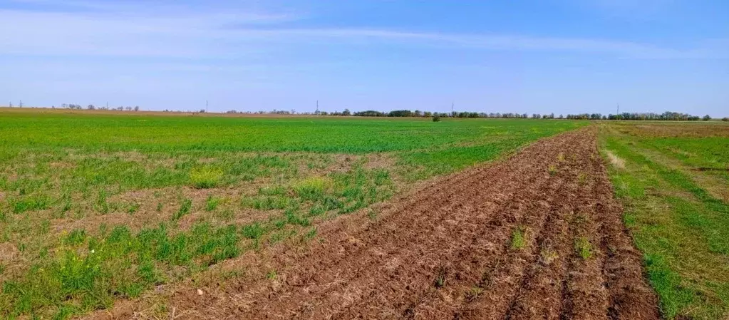 Участок в Крым, Сакский район, с. Добрушино  (100.0 сот.) - Фото 1