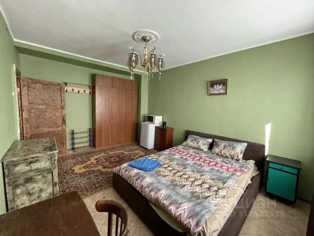 1-к кв. Новосибирская область, Новосибирск Красный просп., 59 (18.0 м) - Фото 0