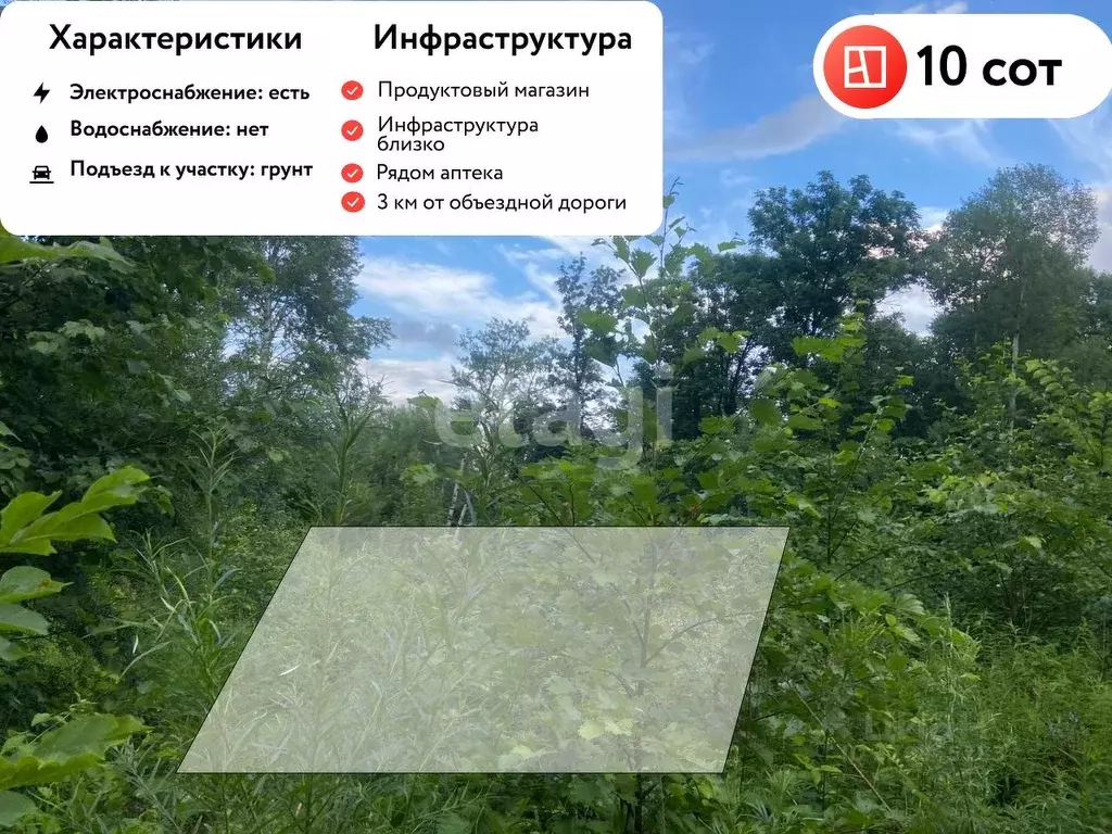 Участок в Хабаровский край, Хабаровский район, с. Корсаково-2 Дачная ... - Фото 0