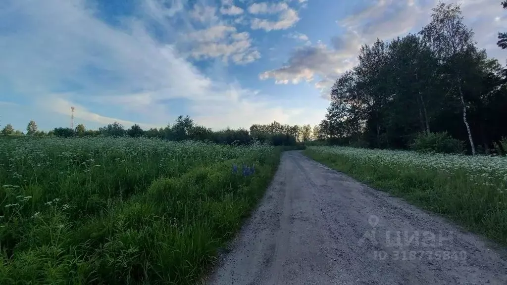 Участок в Владимирская область, Владимир д. Уварово, ул. Центральная ... - Фото 1