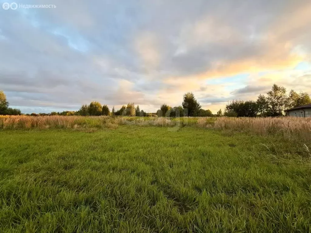 Участок в Красносельский район, Шолоховское сельское поселение, ... - Фото 2