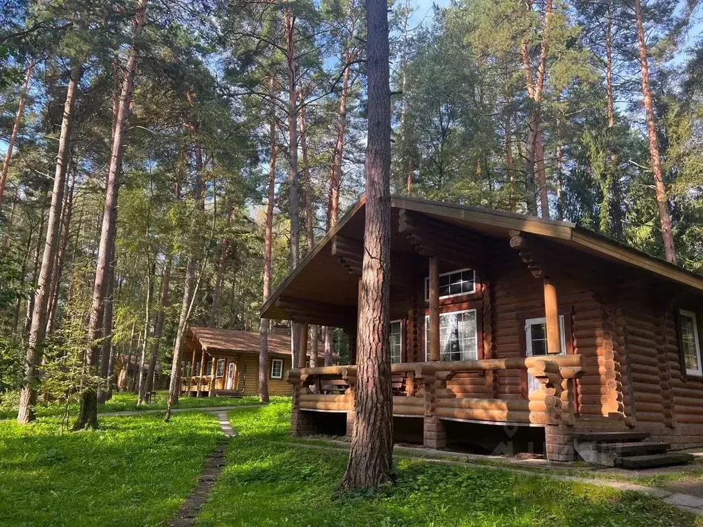 Дом в Калужская область, Тарусский муниципальный округ, с. Волковское  ... - Фото 2