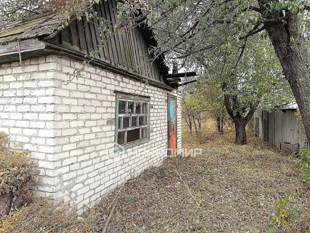 Дом в Брянская область, Брянск Садовод садовое общество, 441 (20 м) - Фото 0