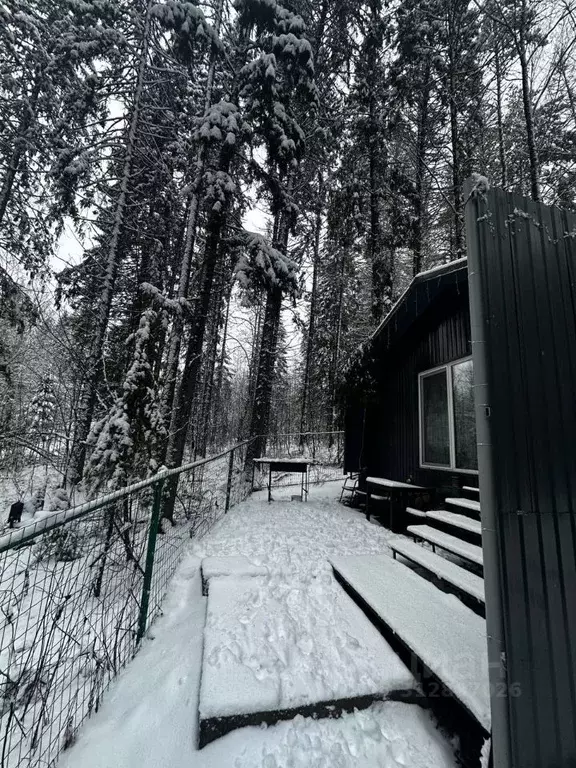 Дом в Пермский край, Пермь Химики мкр, 32А (30 м) - Фото 2