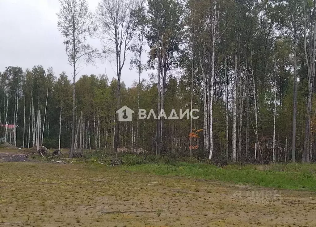 Участок в Ленинградская область, Всеволожский район, Токсовское ... - Фото 2