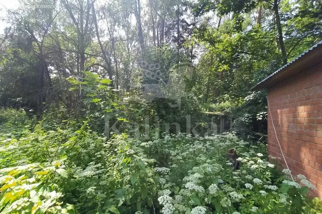 Участок в Одинцовский городской округ, посёлок Николина Гора (15 м) - Фото 2