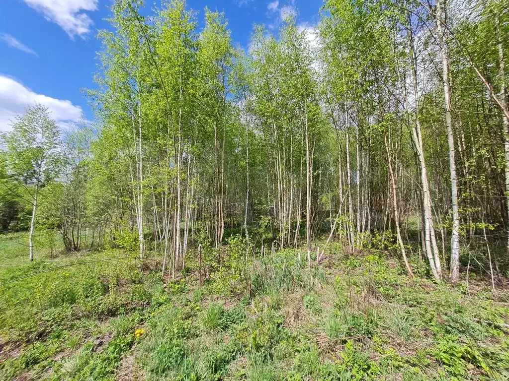 Участок 16.7 сот. (СНТ, ДНП) - Фото 1