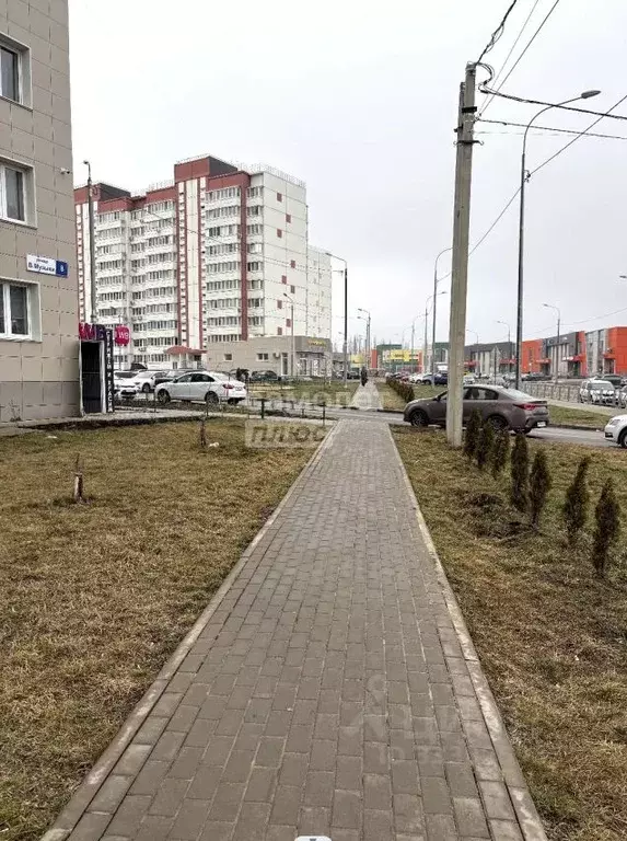 Помещение свободного назначения в Липецкая область, Липецк ул. Виктора ... - Фото 1