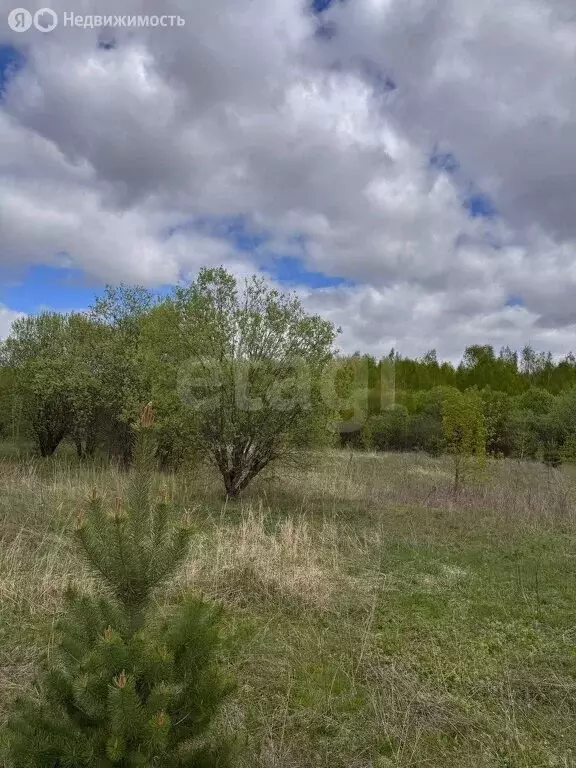 Участок в Нижегородская область, Володарский муниципальный округ, ... - Фото 1