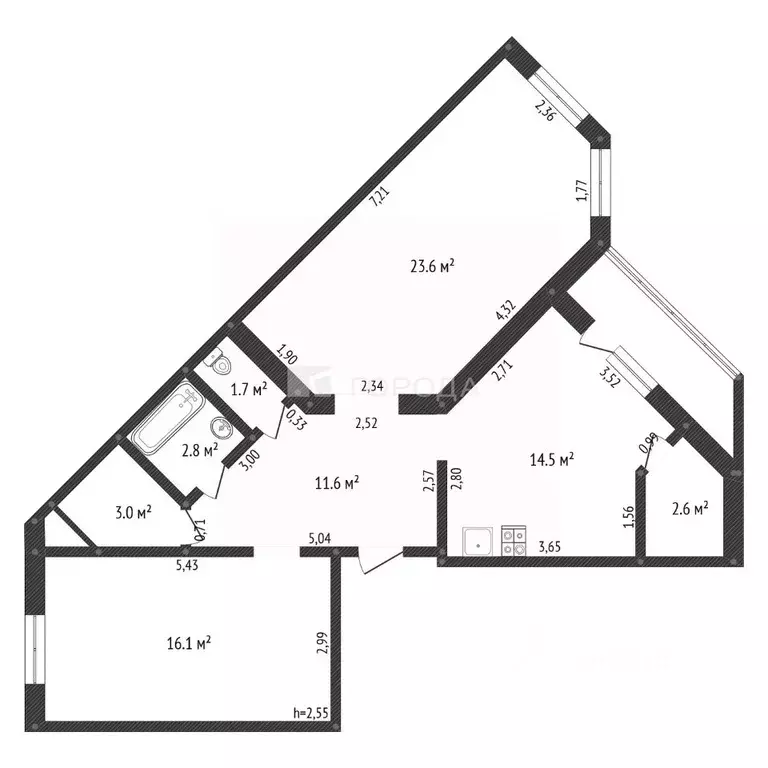 2-к кв. Алтайский край, Барнаул ул. Сухэ-Батора, 21 (77.3 м) - Фото 2