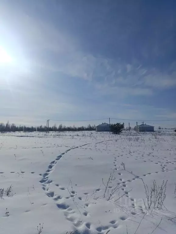 Участок в Татарстан, Пестречинский район, Богородское с/пос, д. Куюки  ... - Фото 0
