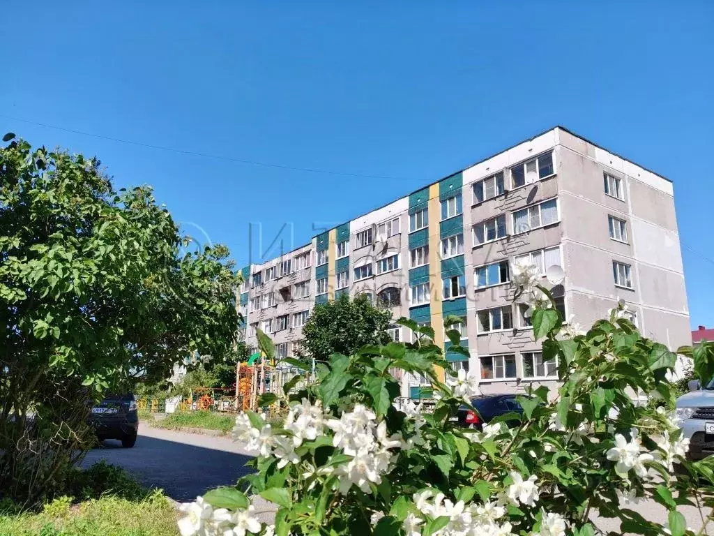 2-к кв. Ленинградская область, Приозерск ул. Маяковского, 3 (54.0 м) - Фото 0