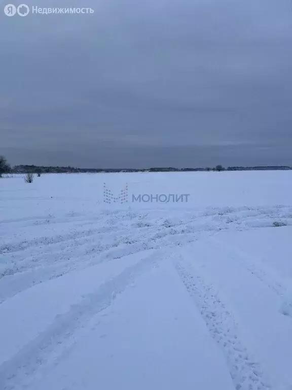 Участок в Нижегородская область, Богородский муниципальный округ, село ... - Фото 1