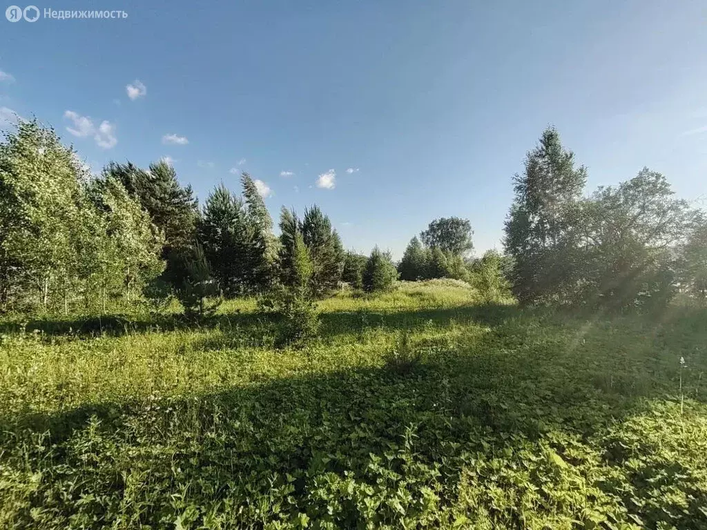 Участок в Нижние Серги, улица Пестеля, 2А (30.88 м) - Фото 1