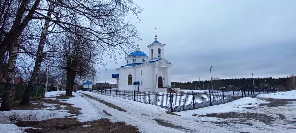 Участок в Калужская область, Думиничский район, с. Чернышено пер. ... - Фото 0