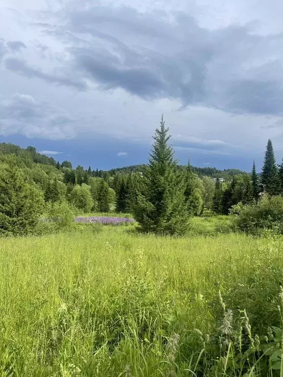 Участок в Кемеровская область, Таштагольский район, Шерегешское ... - Фото 0