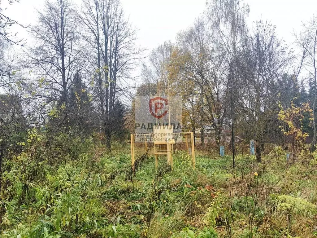Участок в Владимирская область, Александровский муниципальный округ, ... - Фото 1