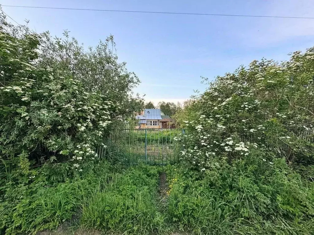 Дом в Московская область, Дмитровский городской округ, Радуга СНТ  (30 ... - Фото 1