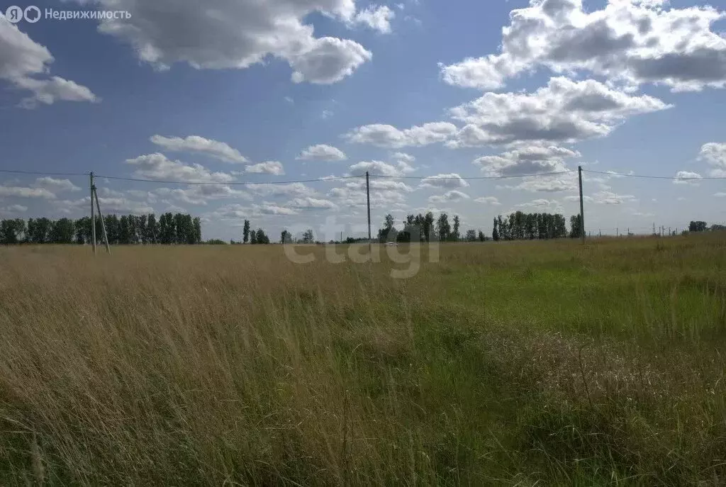 Участок в Поспеловское сельское поселение, посёлок Луговой (10 м) - Фото 0