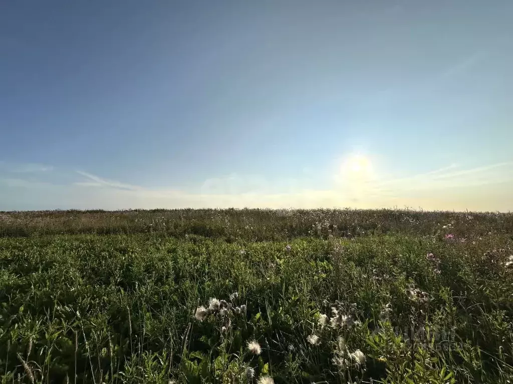 Участок в Вологодская область, с. Первомайское  (8.0 сот.) - Фото 0