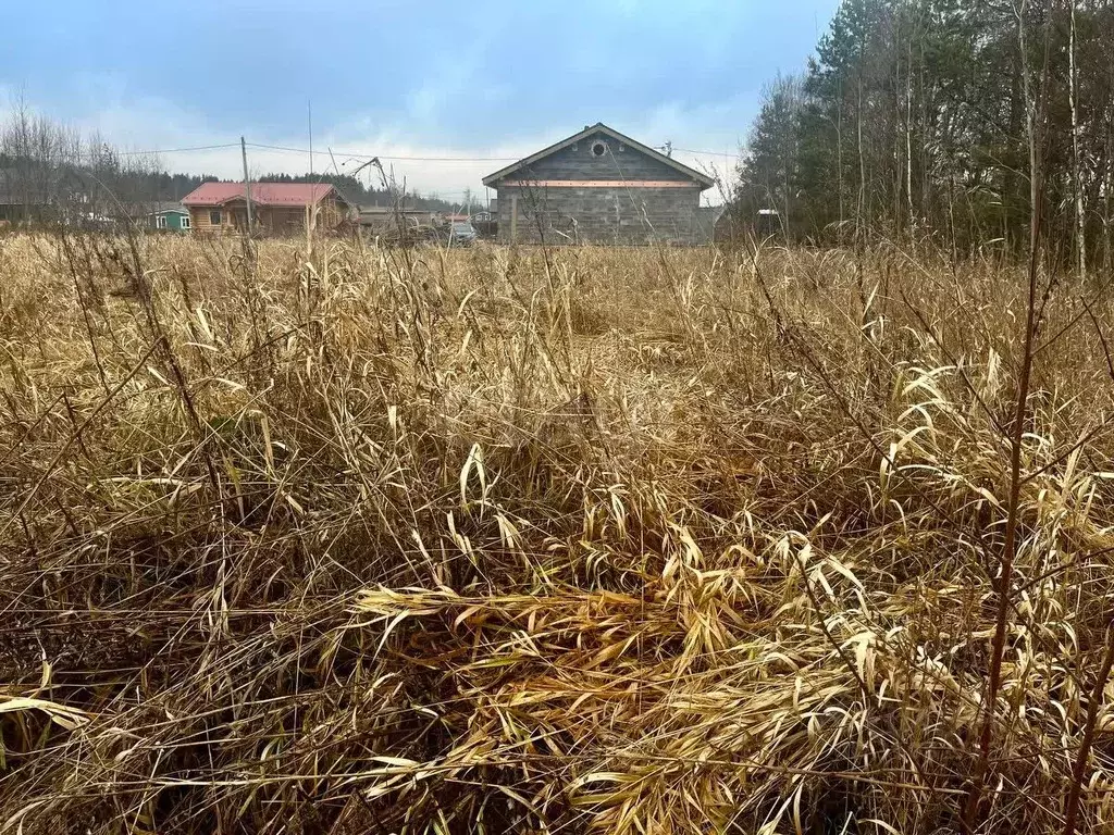 Участок в Ленинградская область, Всеволожский район, Свердловское ... - Фото 0