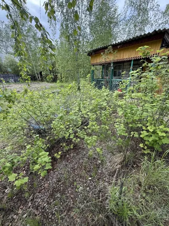 Участок в Саха (Якутия), Якутск городской округ, с. Маган  (12.0 сот.) - Фото 0