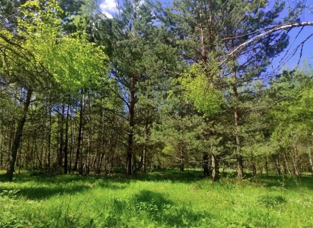 Участок в Московская область, Серпухов городской округ, Малинки Лайф ... - Фото 1