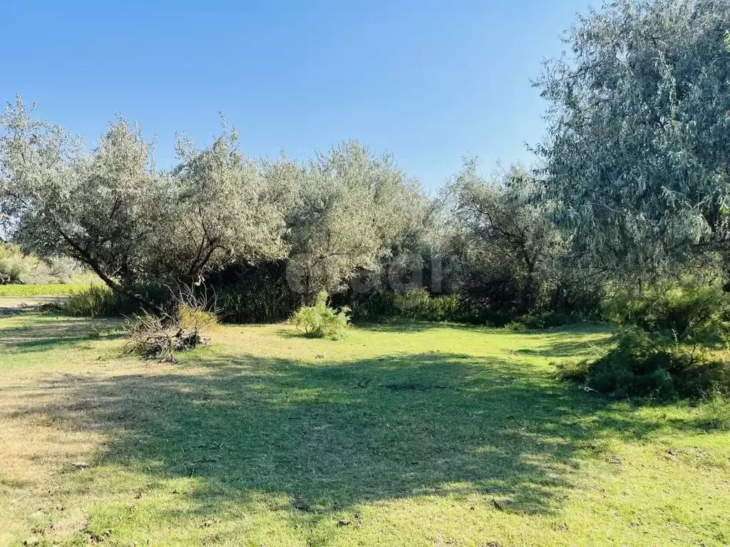 Участок в Астраханская область, Камызякский район, пос. Новинский  ... - Фото 2