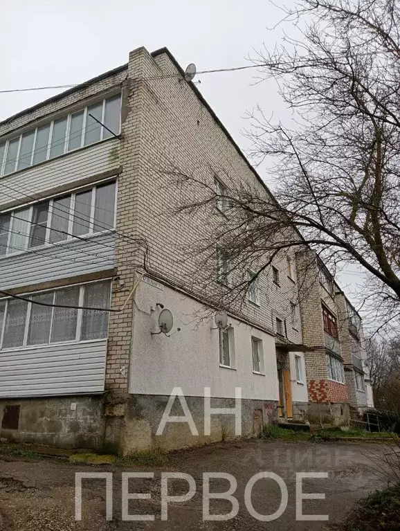 2-к кв. Рязанская область, Скопин Школьный проезд, 12 (45.9 м) - Фото 1