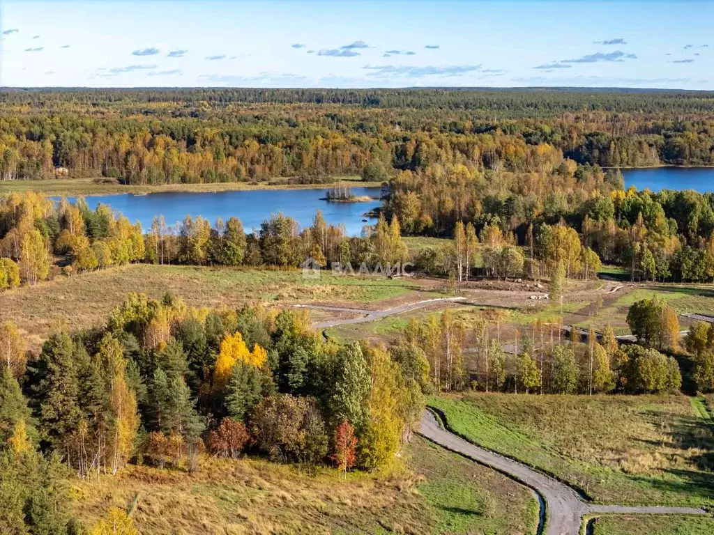 Участок в Ленинградская область, Приозерский район, Ромашкинское ... - Фото 2