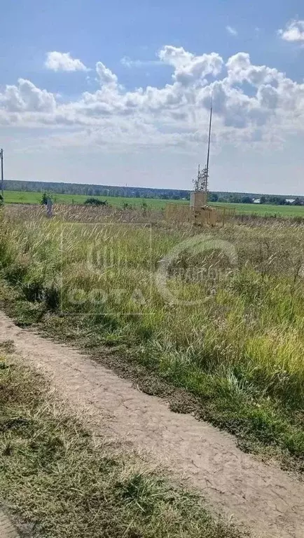 Участок в Воронежская область, с. Новая Усмань ул. Генерала Ватутина, ... - Фото 0