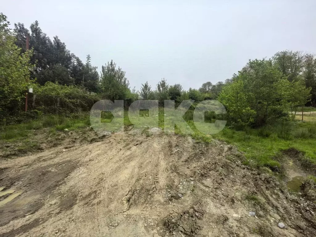 Участок в Краснодарский край, Сочи городской округ, с. Верхнее Буу ул. ... - Фото 1