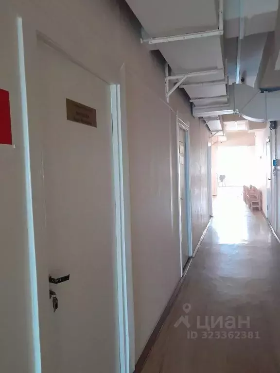 Помещение свободного назначения в Иркутская область, Братск ул. ... - Фото 1