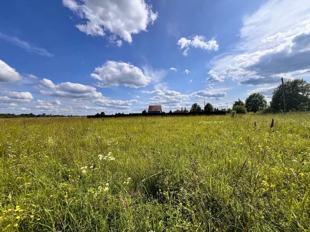 Участок в Ленинградская область, Волхов Шкурина Горка мкр, Г кв-л, 2 ... - Фото 0