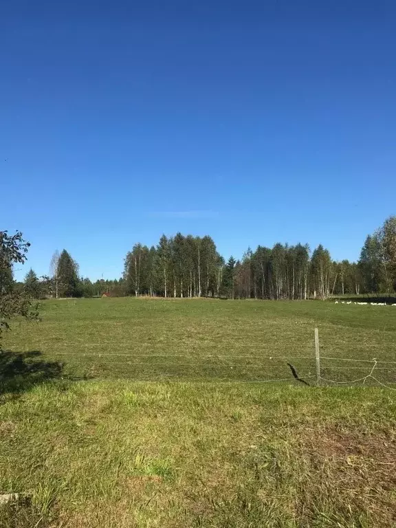 Участок в Марий Эл, Килемарский муниципальный округ, д. Водозерье ул. ... - Фото 1