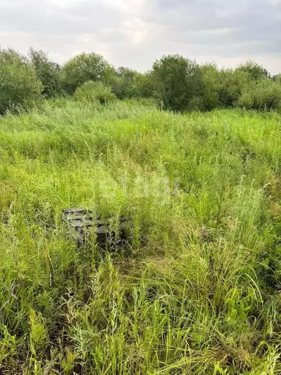 Участок в Амурская область, с. Ивановка  (100.0 сот.) - Фото 0