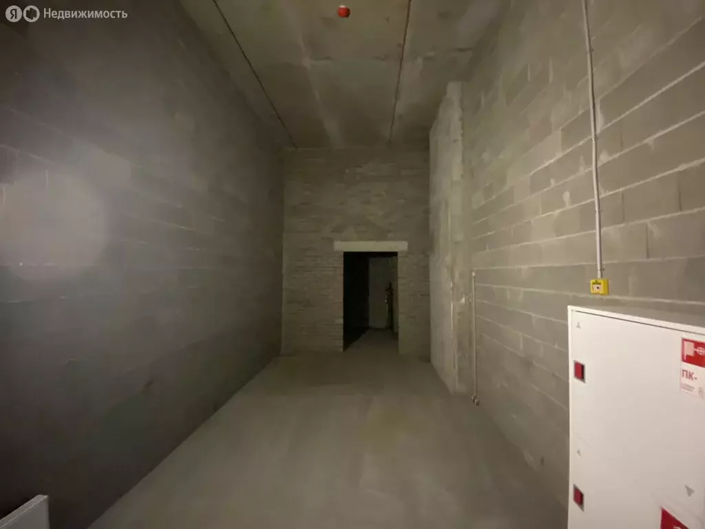 Помещение свободного назначения (26.4 м) - Фото 2