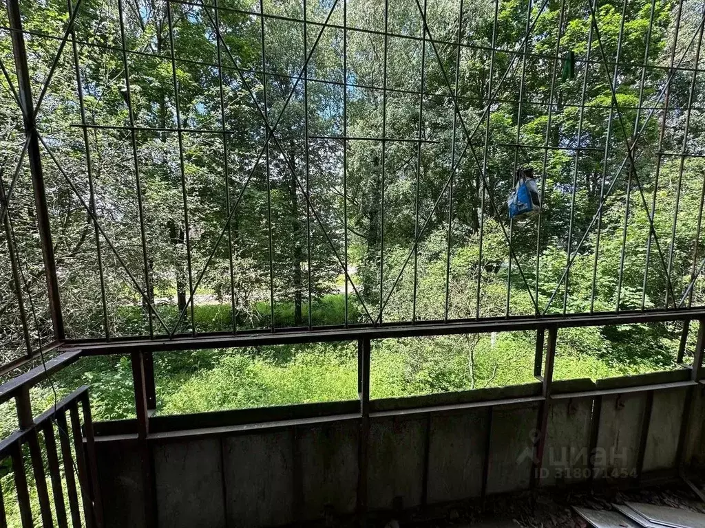 Комната Тверская область, Тверь Октябрьский просп., 79 (17.2 м) - Фото 1