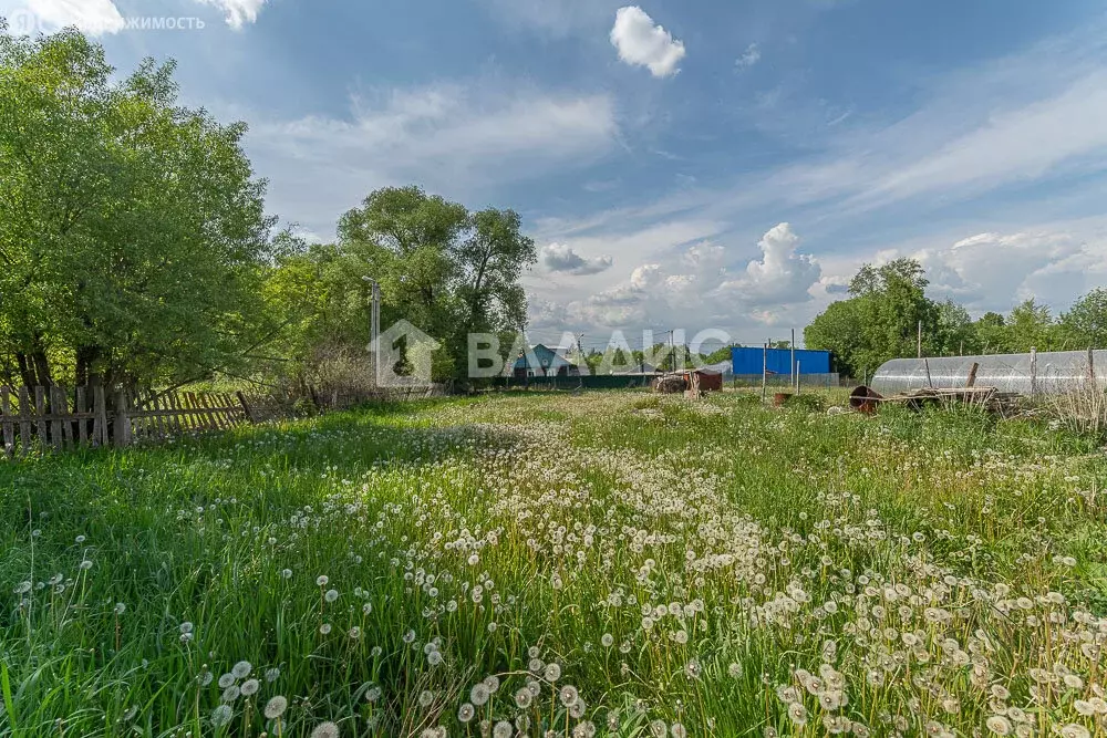 Участок в село Сновицы, улица Шмакова, 95 (12.3 м) - Фото 1