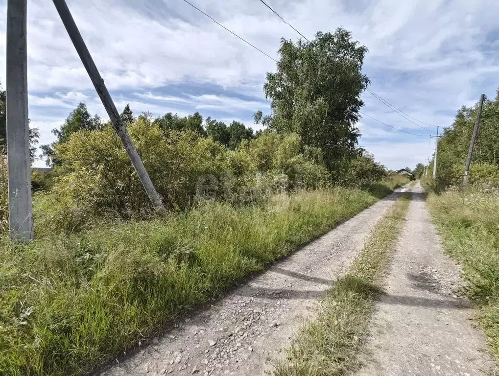 Участок в Тюменская область, Тюмень  (59.0 сот.) - Фото 1