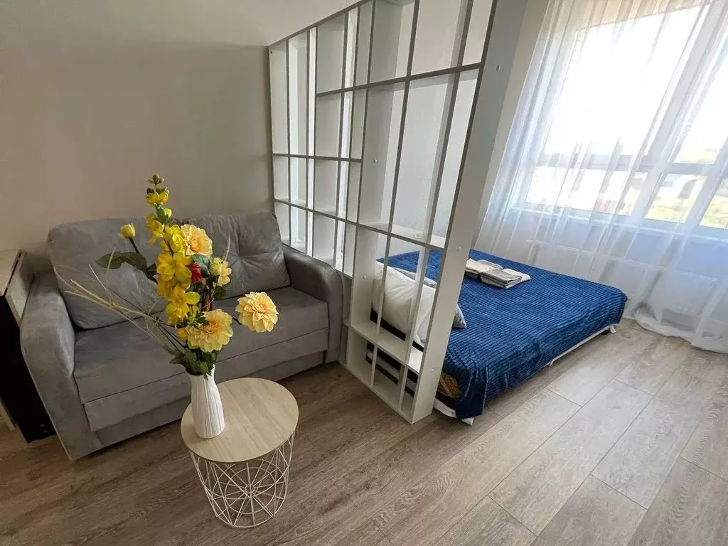 Студия Московская область, Одинцовский городской округ, Заречье пгт ... - Фото 2