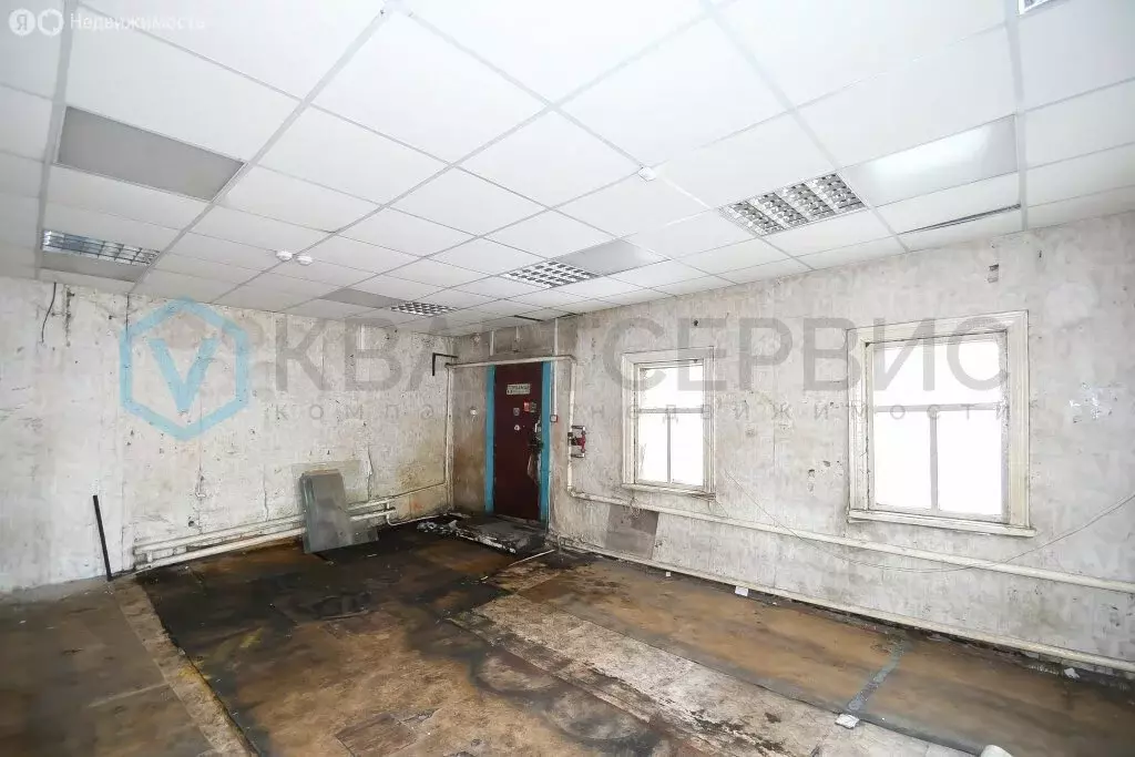 Помещение свободного назначения (247 м) - Фото 2