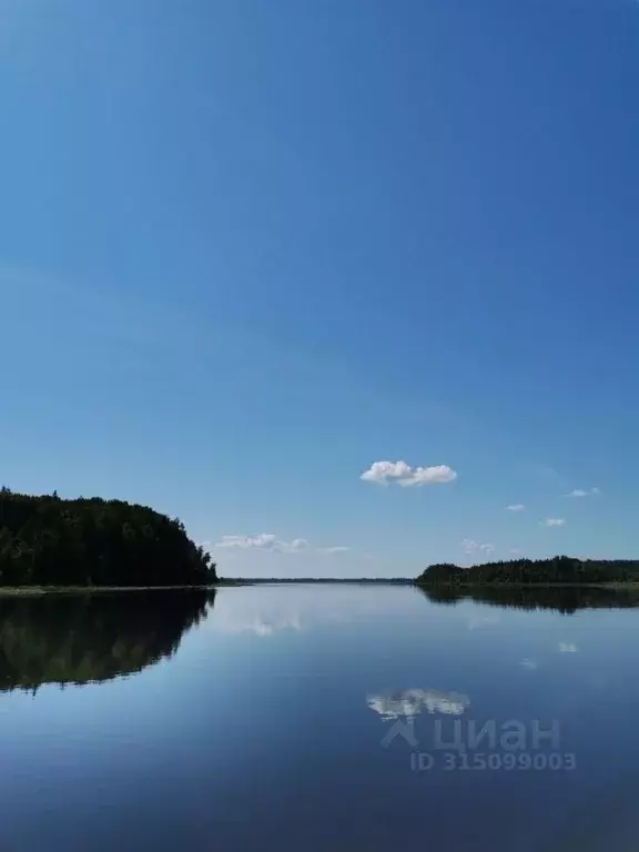 Участок в Ленинградская область, Подпорожский район, Вознесенское ... - Фото 1